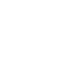 American International Group, Inc. logo