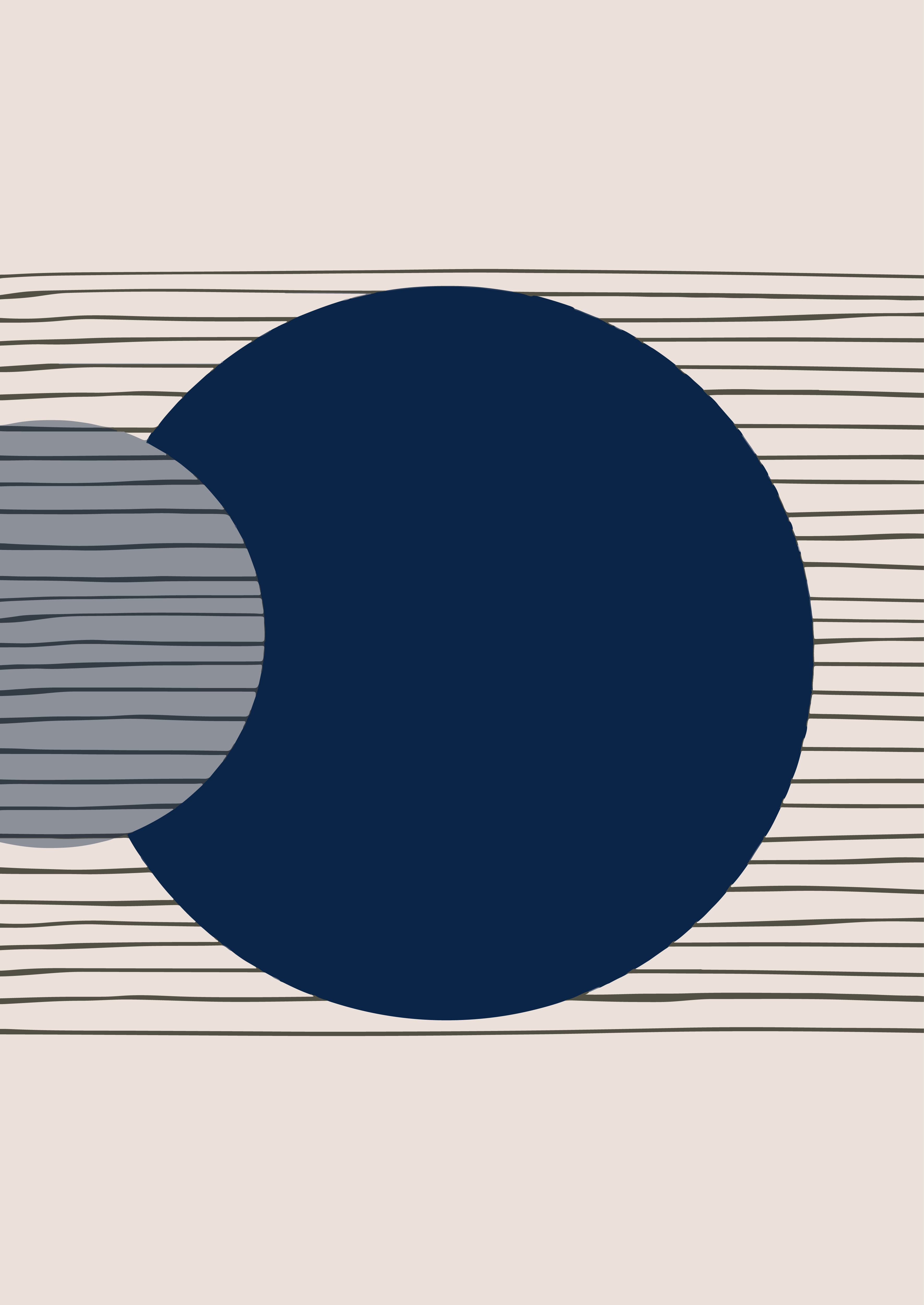 The Dividend Puzzle: Why Investors Love Them